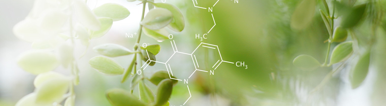 Green plant leaves with molecular structures